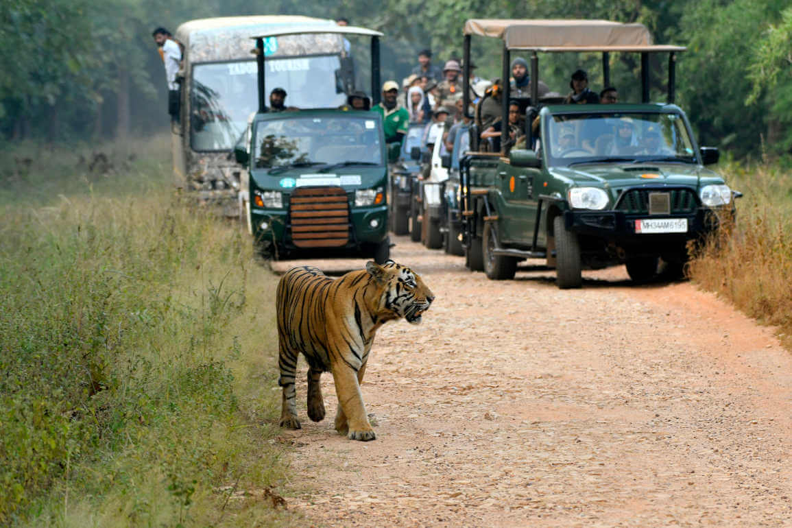 Pench National Park